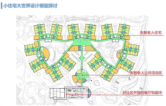 凯时|AG(AsiaGaming)优质运营商