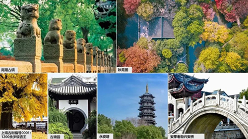 凯时|AG(AsiaGaming)优质运营商