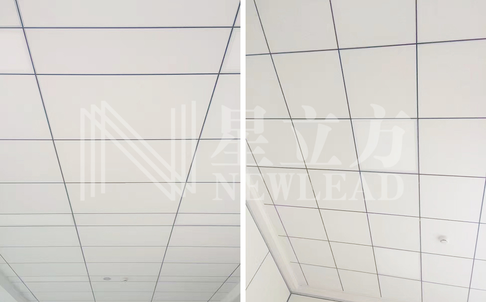 凯时|AG(AsiaGaming)优质运营商