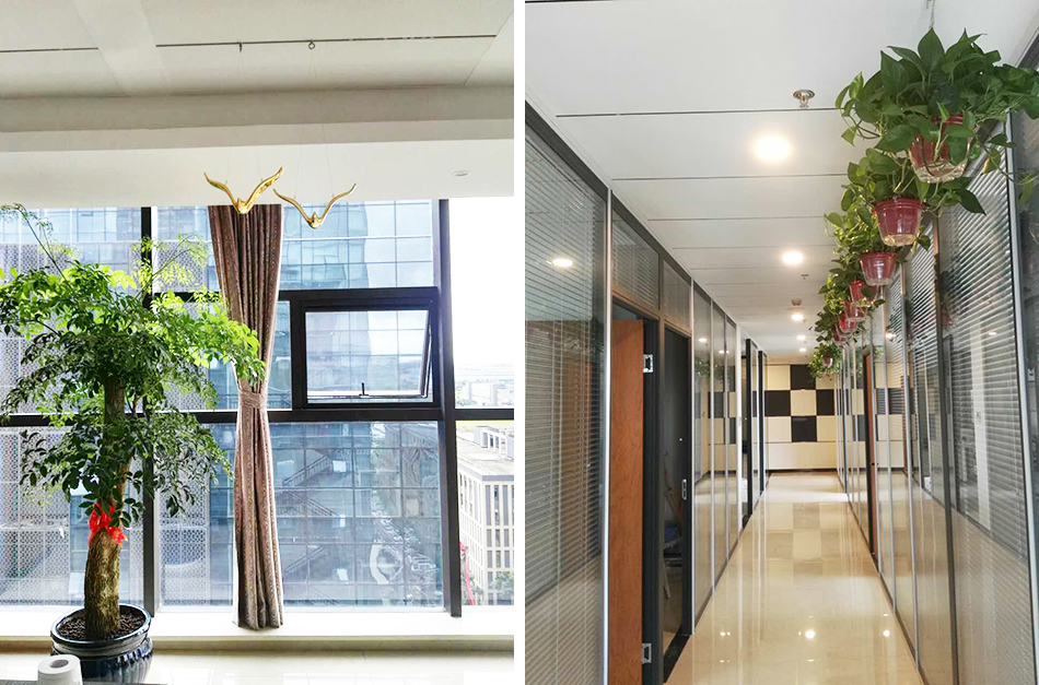 凯时|AG(AsiaGaming)优质运营商