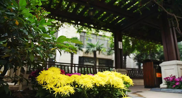 凯时|AG(AsiaGaming)优质运营商