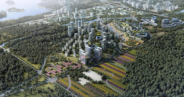 凯时|AG(AsiaGaming)优质运营商