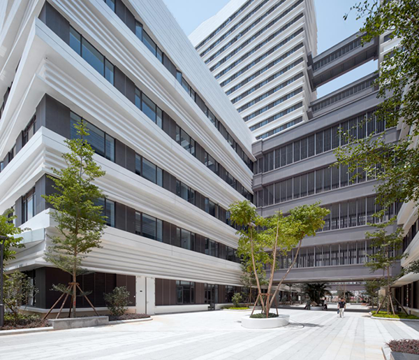 凯时|AG(AsiaGaming)优质运营商